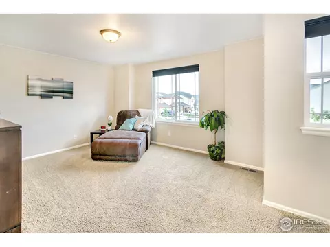 6420 Cloudburst Ave, Timnath, CO 80547 photo 26