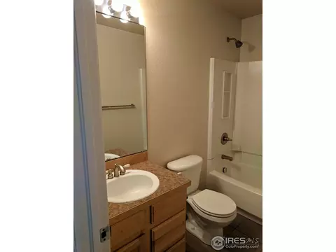 135 Bayside Cir, Windsor, CO 80550 photo 10