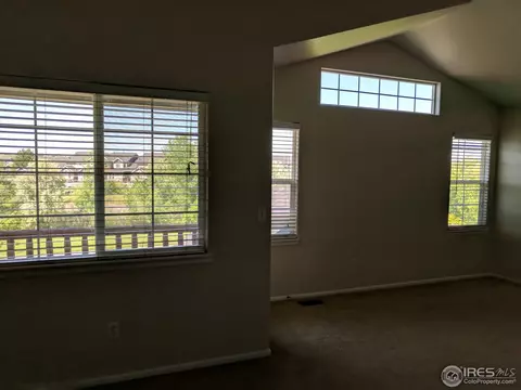 135 Bayside Cir, Windsor, CO 80550 photo 6