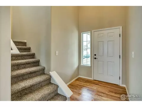 825 Mt Sneffels Ave, Windsor, CO 80550 photo 4