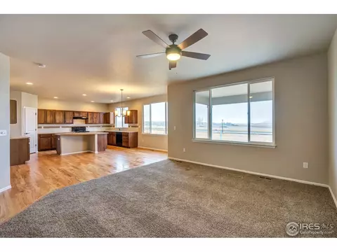 825 Mt Sneffels Ave, Windsor, CO 80550 photo 5
