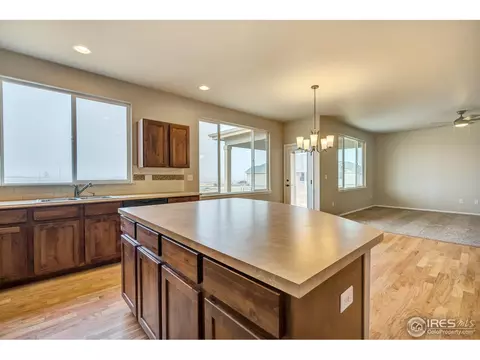 825 Mt Sneffels Ave, Windsor, CO 80550 photo 13