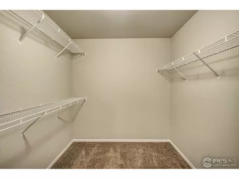825 Mt Sneffels Ave, Windsor, CO 80550 photo 18