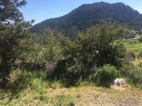 563 Pinewood Dr, Lyons, CO 80540 photo 2