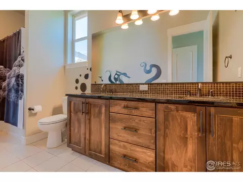 8520 Allenbrook Dr, Windsor, CO 80550 photo 29