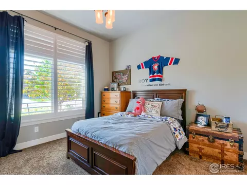 8520 Allenbrook Dr, Windsor, CO 80550 photo 25