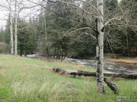 517 Bigbee High Rd, Ward, CO 80481 photo 14