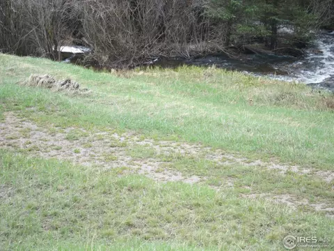 517 Bigbee High Rd, Ward, CO 80481 photo 9