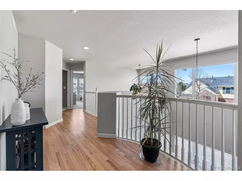 8546 Coors Loop, Arvada, CO 80005 photo 20