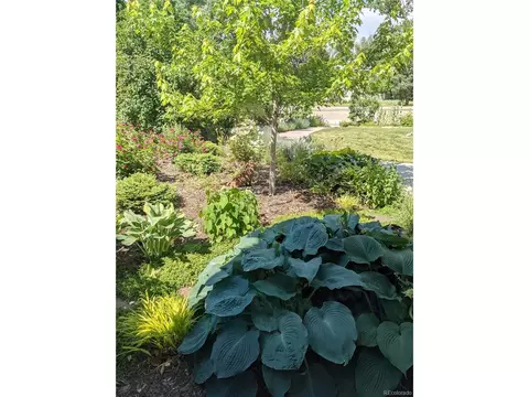 205 Fair Pl, Boulder, CO 80302 photo 30