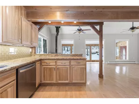 10684 Beas Dr, Conifer, CO 80433 photo 10