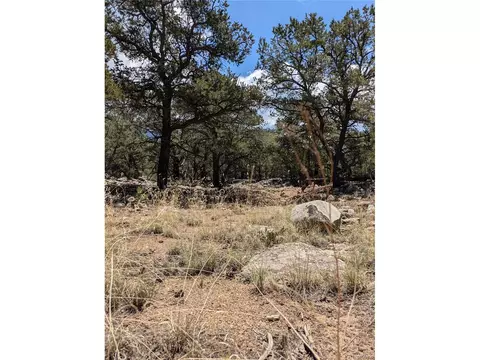 3729 Enchanted Way, Crestone, CO 81131