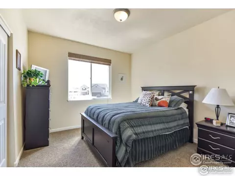571 Dakota Ct, Windsor, CO 80550 photo 20