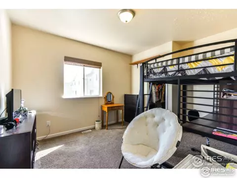 571 Dakota Ct, Windsor, CO 80550 photo 21