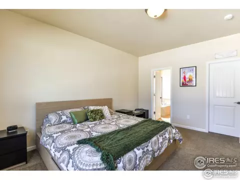 571 Dakota Ct, Windsor, CO 80550 photo 14