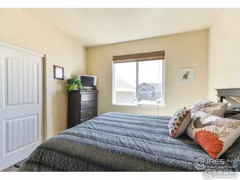 571 Dakota Ct, Windsor, CO 80550 photo 19