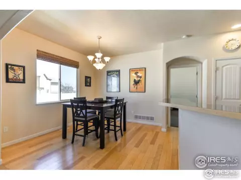 571 Dakota Ct, Windsor, CO 80550 photo 7