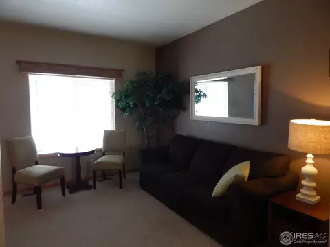 1401 Willow Way, Windsor, CO 80550 photo 12