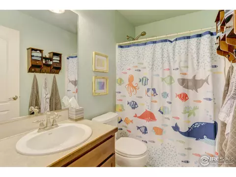 1209 Crescent Dr, Windsor, CO 80550 photo 24