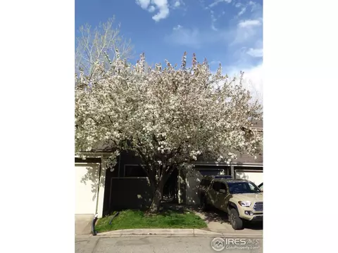 1554 Macarthur Dr, Boulder, CO 80303 photo 27