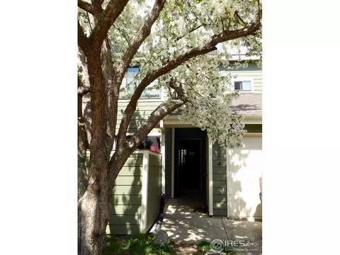 1554 Macarthur Dr, Boulder, CO 80303 photo 26