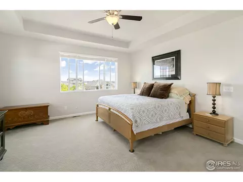 8330 Cherry Blossom Dr, Windsor, CO 80550 photo 17