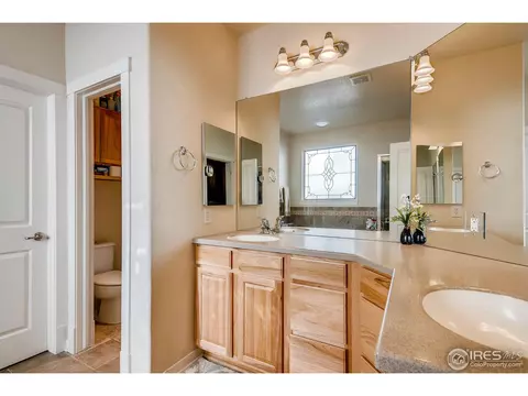 2596 E 142nd Pl, Thornton, CO 80602 photo 19
