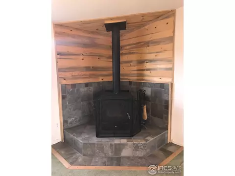 46 Deer Ct, Walden, CO 80480 photo 3