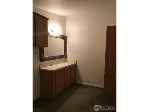 46 Deer Ct, Walden, CO 80480 photo 13