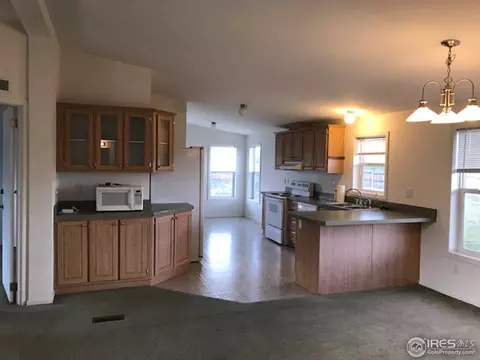 46 Deer Ct, Walden, CO 80480 photo 6