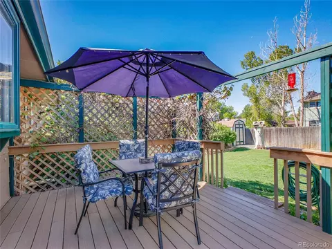 13133 Regulus Dr, Lone Tree, CO 80124 photo 30