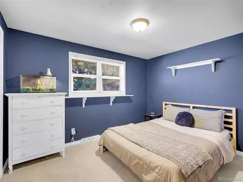 13133 Regulus Dr, Lone Tree, CO 80124 photo 17