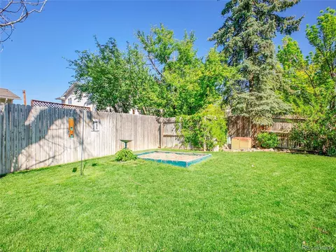 13133 Regulus Dr, Lone Tree, CO 80124 photo 35