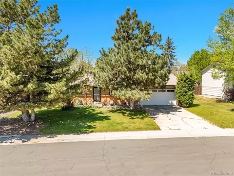 13133 Regulus Dr, Lone Tree, CO 80124 photo 41