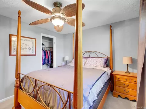 13133 Regulus Dr, Lone Tree, CO 80124 photo 15