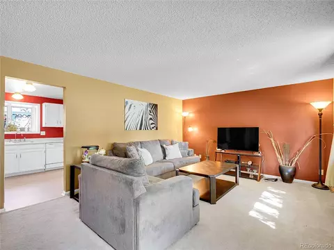 13133 Regulus Dr, Lone Tree, CO 80124 photo 3
