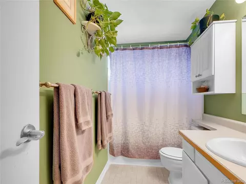 13133 Regulus Dr, Lone Tree, CO 80124 photo 14