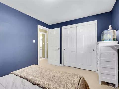 13133 Regulus Dr, Lone Tree, CO 80124 photo 18