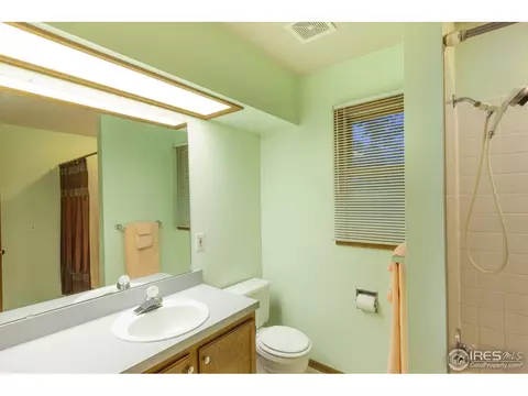 1054 Pinyon Ct, Windsor, CO 80550 photo 30
