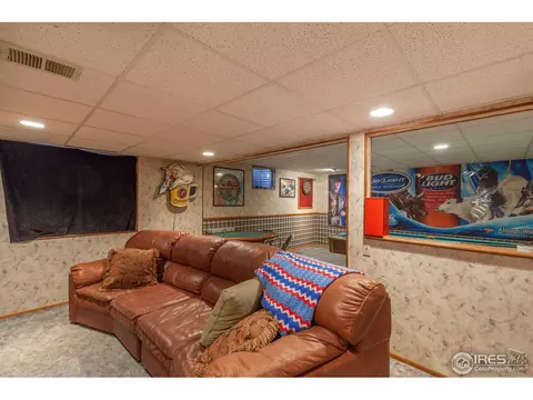 1054 Pinyon Ct, Windsor, CO 80550 photo 34
