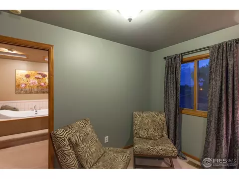 1054 Pinyon Ct, Windsor, CO 80550 photo 22