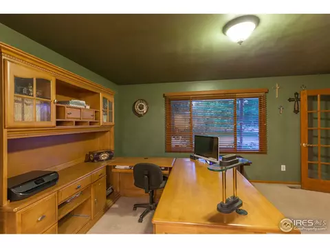 1054 Pinyon Ct, Windsor, CO 80550 photo 19
