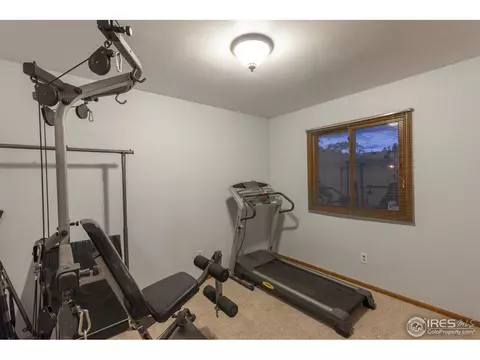 1054 Pinyon Ct, Windsor, CO 80550 photo 31