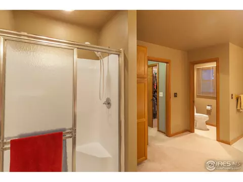 1054 Pinyon Ct, Windsor, CO 80550 photo 26