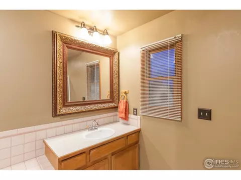 1054 Pinyon Ct, Windsor, CO 80550 photo 25