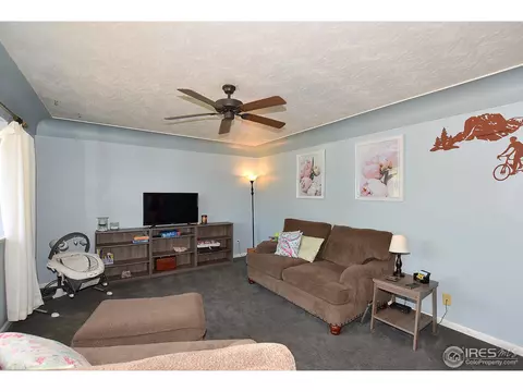 638 Graefe Ave, Ault, CO 80610 photo 4