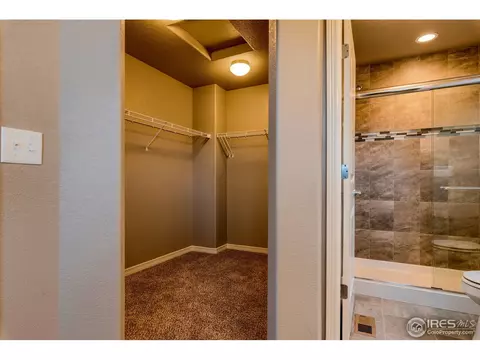 5794 Osbourne Dr, Windsor, CO 80550 photo 29