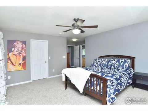 6193 Snowberry Ave, Firestone, CO 80504 photo 12