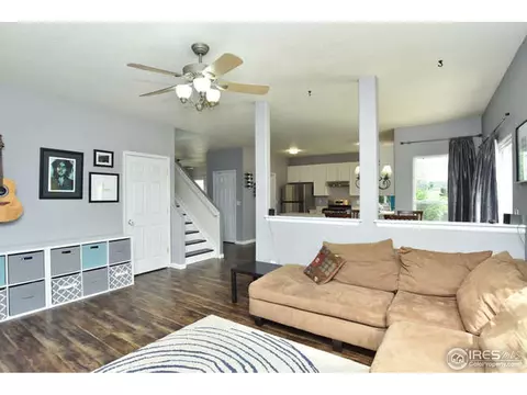 6193 Snowberry Ave, Firestone, CO 80504 photo 9
