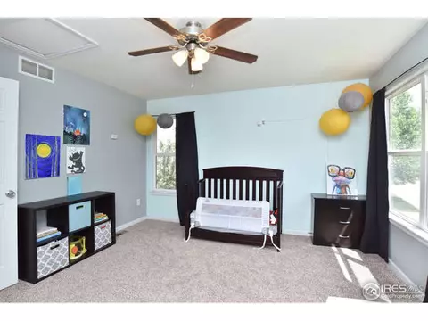 6193 Snowberry Ave, Firestone, CO 80504 photo 16